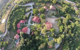 Tzivaeri